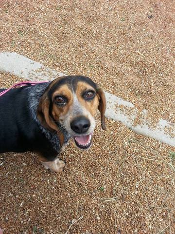 Love of my life #4 comes to my home!