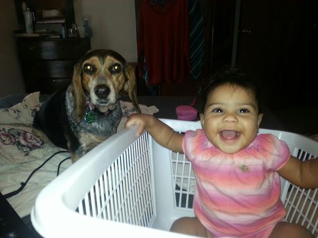 Millie Mouse has found her best friend!