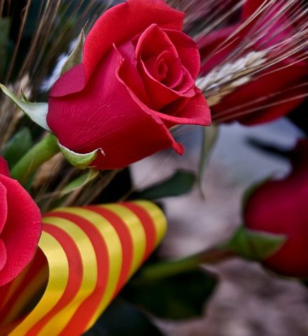Sant Jordi