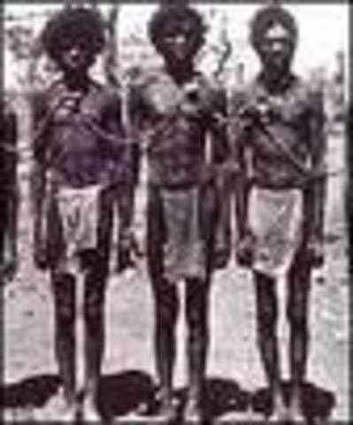 Help the Aborigines...... Please!