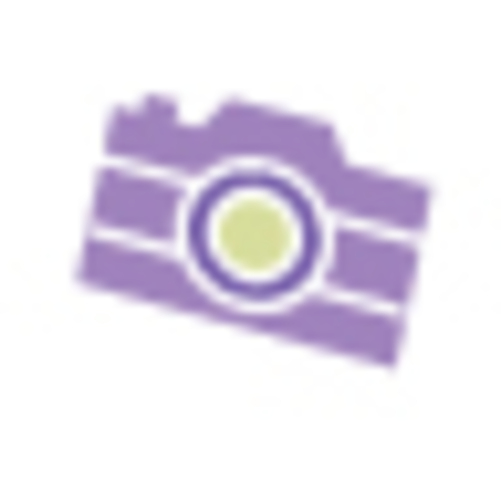 «Авторская фотография». Время вышло!