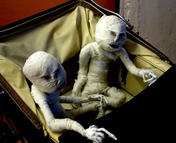 The Brewery of Eggshells