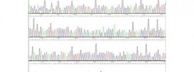 El borrador de la secuencia del genoma humano