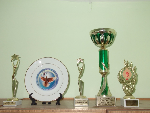 Достижения коллектива в 2013 году