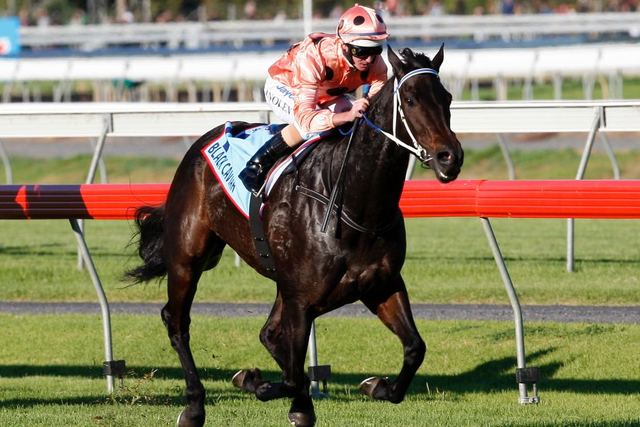 Black Caviar
