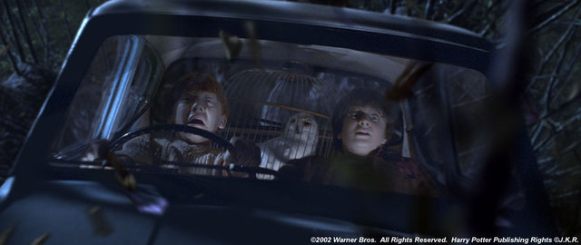 The Whomping Willow Attacks