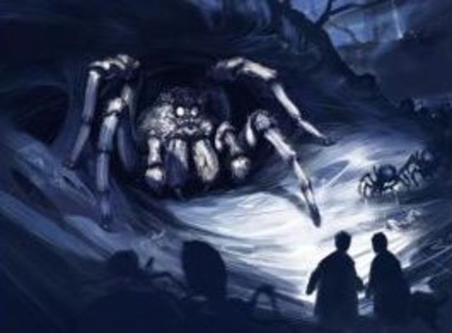 Harry and Ron meet Aragog