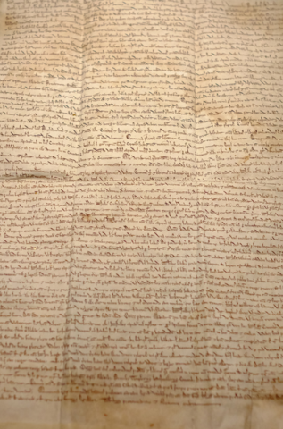 Magna Carta