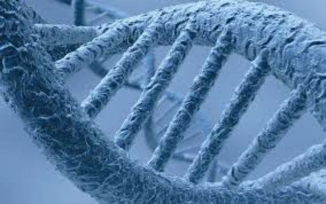 Secuenciación completa del genoma Humano