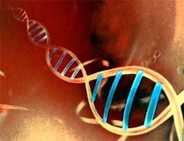 La 1ª secuenciación del ADN