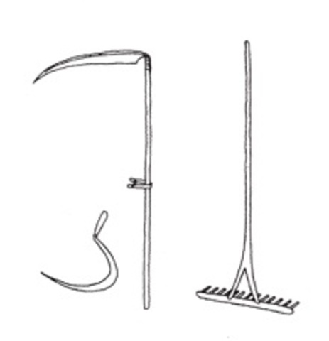 Сельское хозяйство