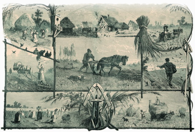 Земледелие