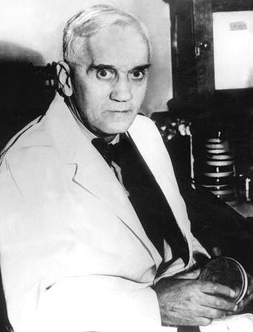 Schimmelpilz als Wunderwaffe