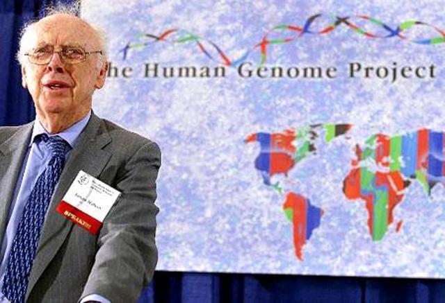 Die genetische Wendeltreppe