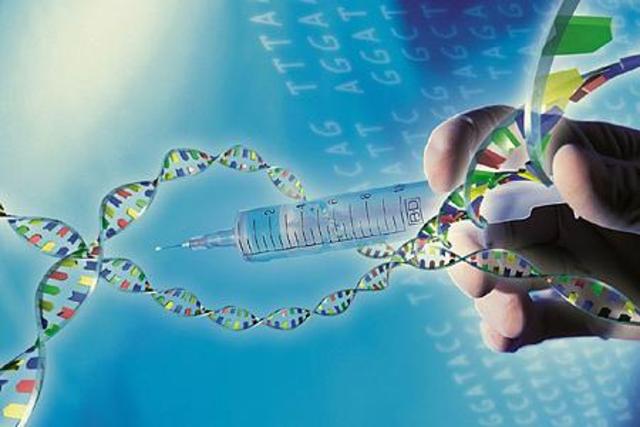 Erster Eingriff ins Erbgut