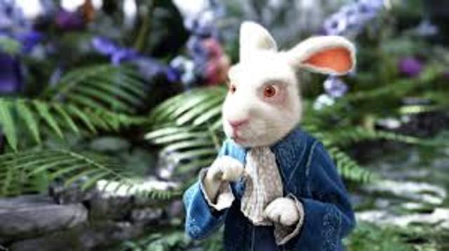 Alice sees the white rabbit