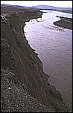 Mesopotamia - British Museum