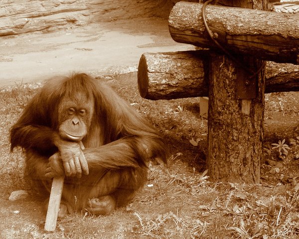 College Major...What's That?