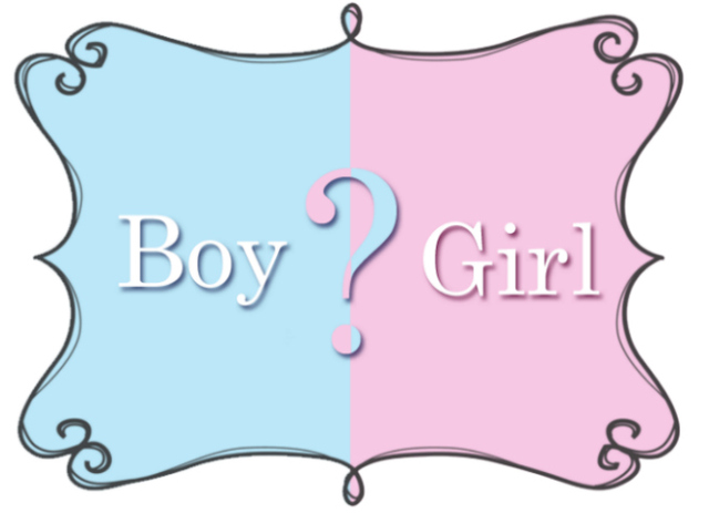 Gender of Child Revealed