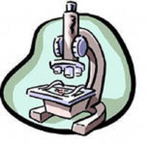 Тема 2. Царство Бактерии и Грибы (6 часов)