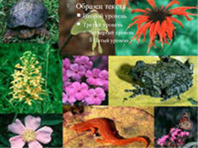 Тема 3. Царство Растения (8 часов).