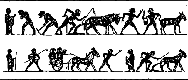 Земледелие