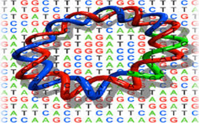 La 1ª secuenciación del ADN