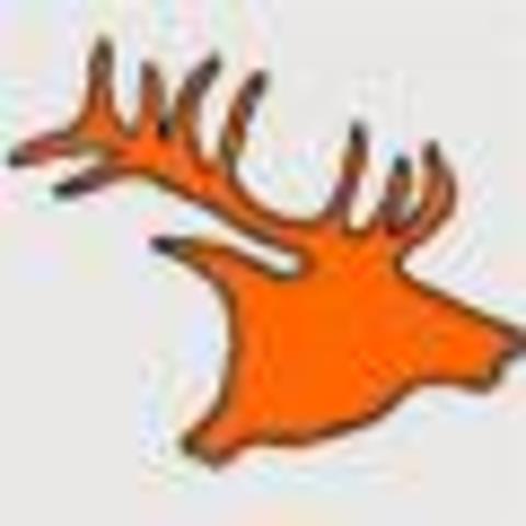 i came to elk mound school