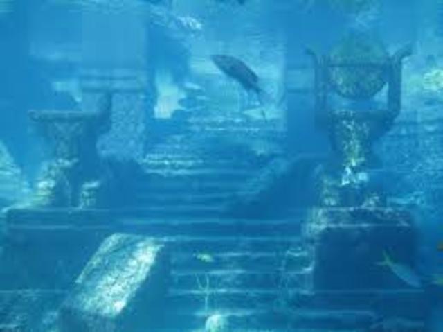 Discover a under water world