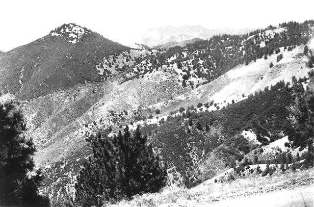 The Forest Reserve Act