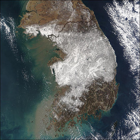 Korea has its worst snowfall in 60 years