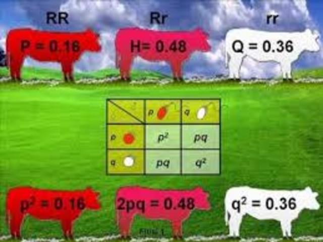 Lay de Hardy- Weinberg