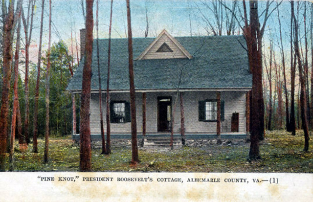 Hunting for Wild Turkey