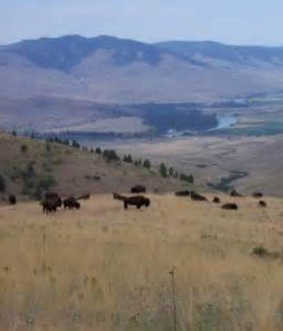 Established National Bison Range