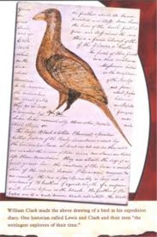 Lewis makes first journal entry