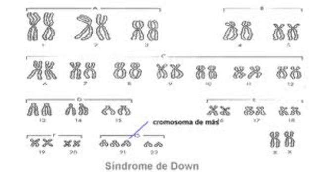Joe Hin Tjio y Albert Levan