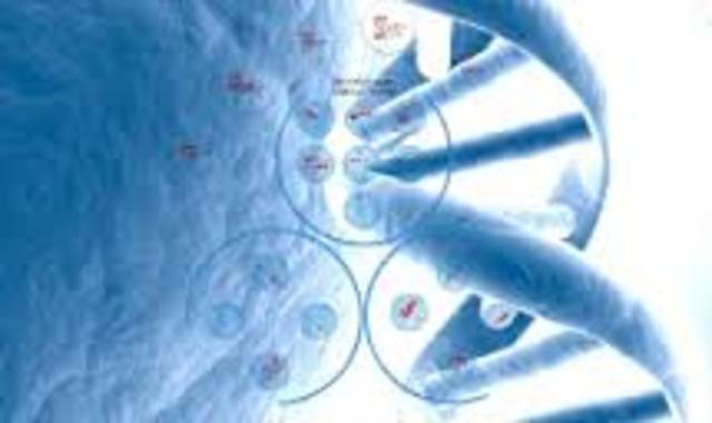 Francis Collins y Lap-Chee Tsui