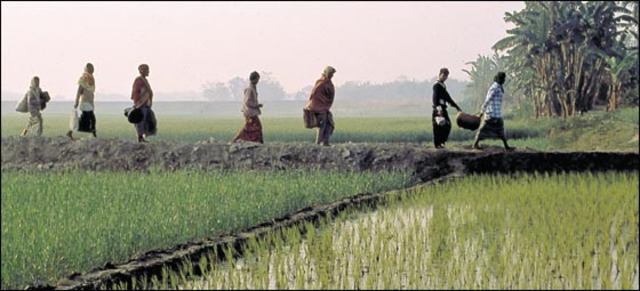 Major Accomplishments