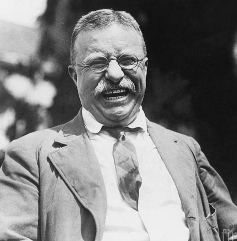 Politics: Teddy Roosevelt