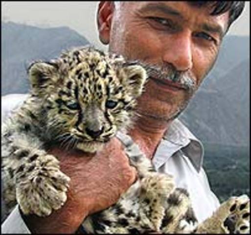 Snow Lepard enterprise expanded