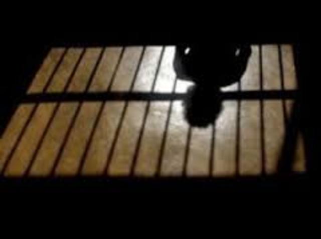 LOS NIÑOS CUANDO CAEN EN MANOS DE LA JUSTICIA