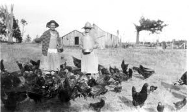 thing at home are getting bad