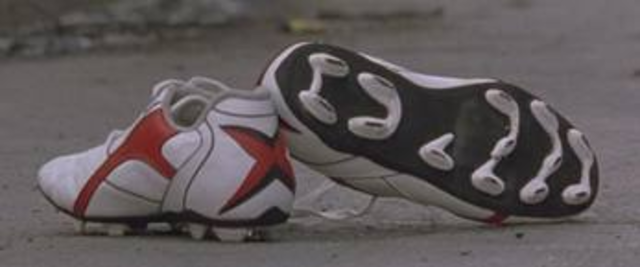 The Beginning (Inital Incident)