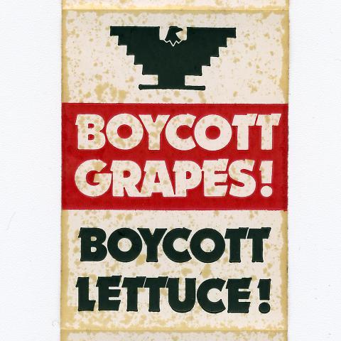 United Farm Workers (UFW)