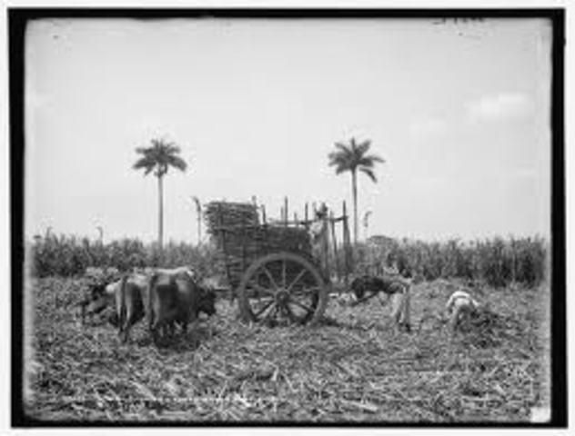 U.S. ends sugar trade with Cuba