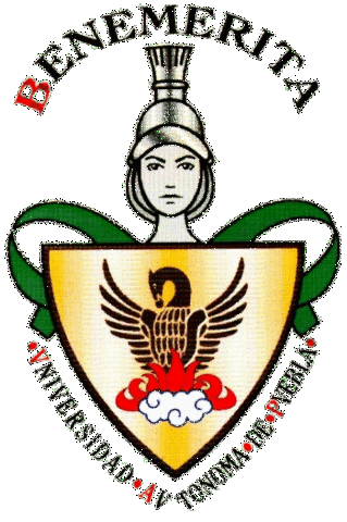 Christian A. Herrera Bravo