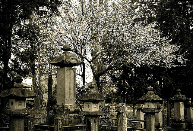 Tamkumi's parnets died