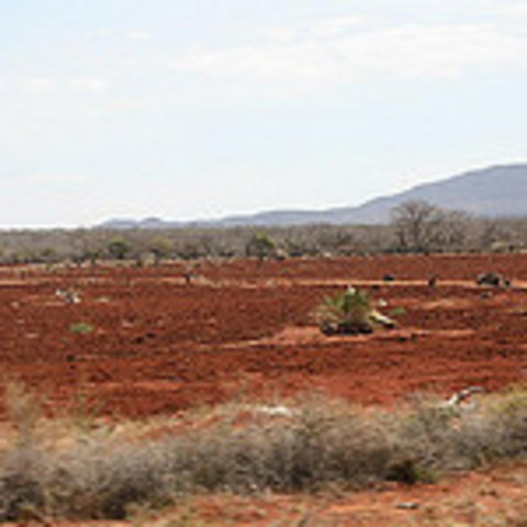 Départ pour l'Afrique