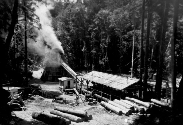FIRST SAWMILL