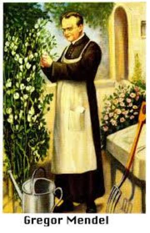Agustino Gregor Mendel publica su investigación,hibridación en guisantes.